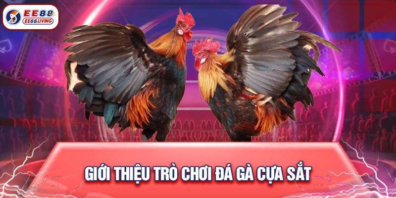 Giới thiệu trò chơi đá gà cựa sắt