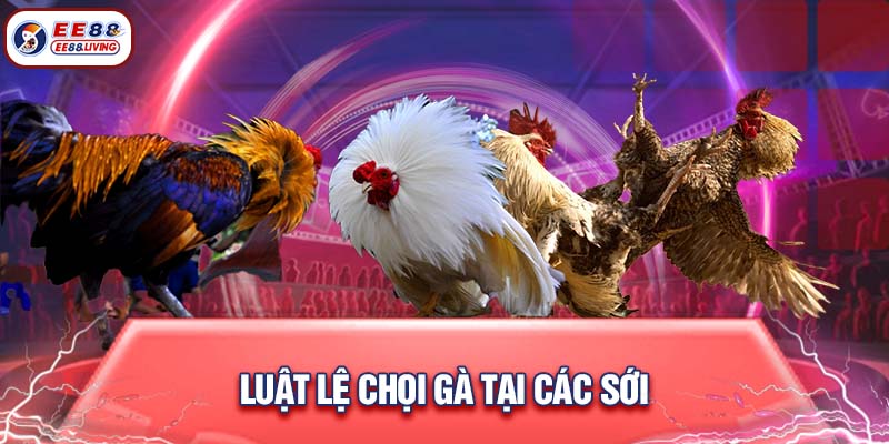 Luật lệ chọi gà tại các sới