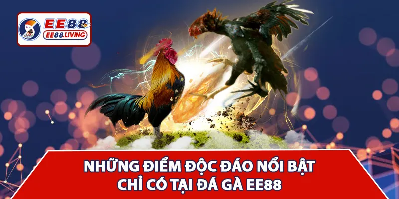 Những điểm độc đáo của sảnh đá gà EE88