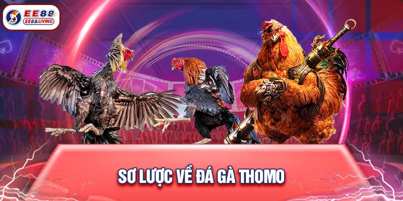 Sơ lược về đá gà Thomo