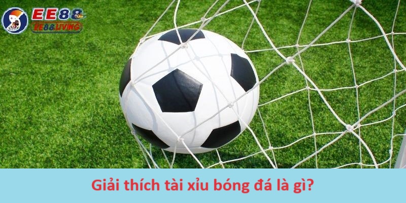 Giải thích tài xỉu bóng đá là gì? 