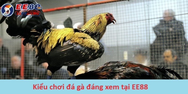 Kiểu chơi đá gà đáng xem tại EE88