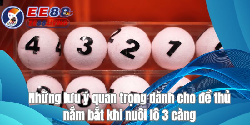 Những lưu ý quan trọng dành cho đề thủ nắm bắt khi nuôi lô 3 càng