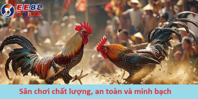 Sân chơi chất lượng, an toàn và minh bạch