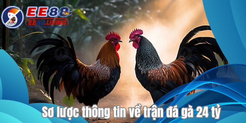 Sơ lược thông tin về trận đá gà 24 tỷ