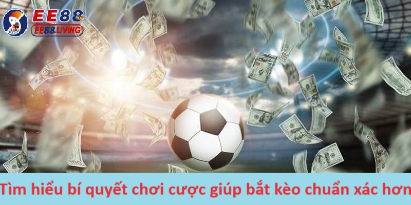 Tìm hiểu bí quyết chơi cược giúp bắt kèo chuẩn xác hơn