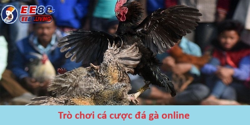 Trò chơi cá cược đá gà online