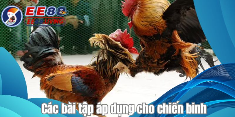 Các bài tập áp dụng cho chiến binh