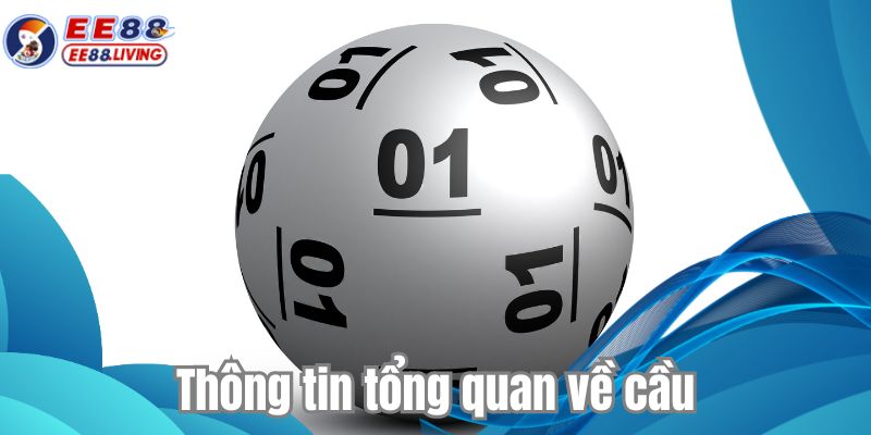 Thông tin tổng quan về cầu